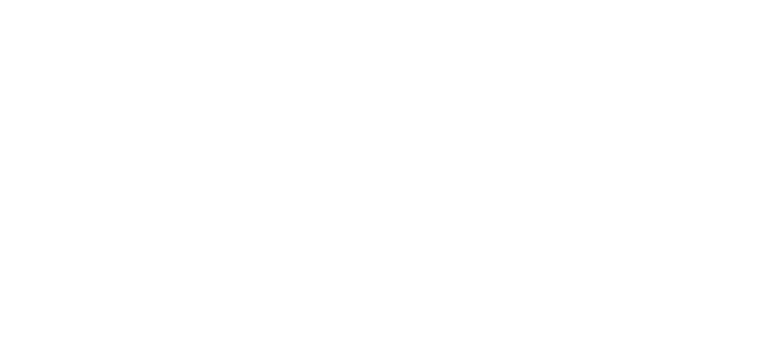 THE HUSH MODELS